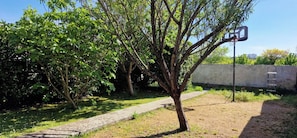 Ein Basketballkorb, ein Baum und eine Betonmauer in einem Garten.