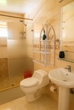 Hair dryer, towels, soap, toilet paper - Comfort and peace of mind (Santo Domingo Este)