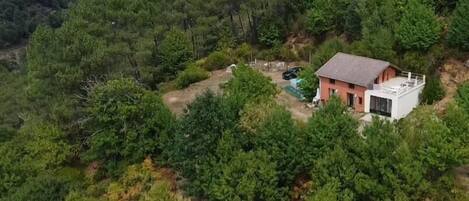 A house surrounded by dense forest, with a visible patio area and a satellite dish.