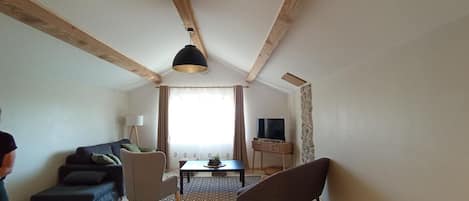 TV, livros