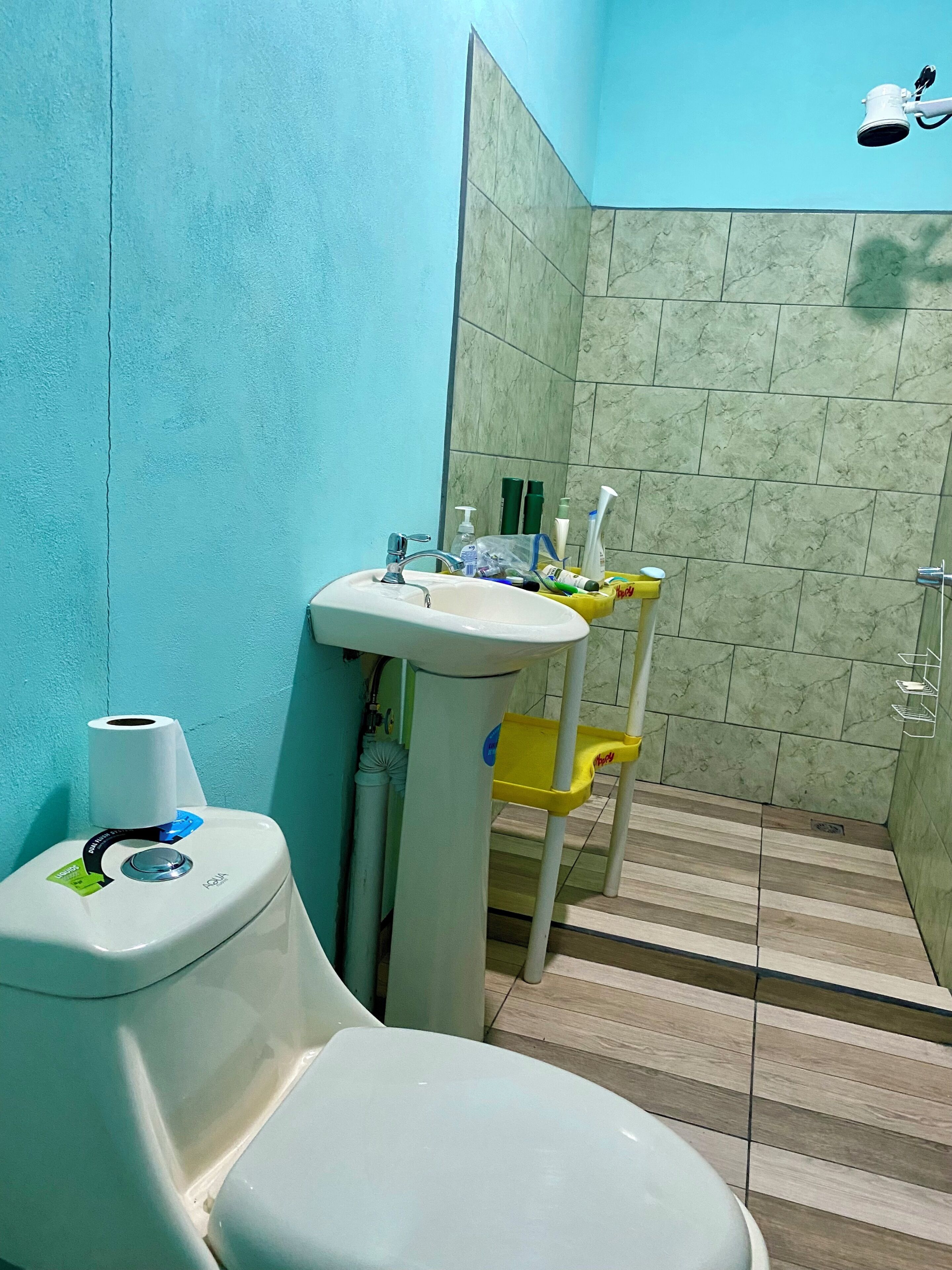 Shower, towels, toilet paper