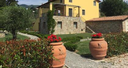 Apartment in Tuscany With Scenic Pool Views