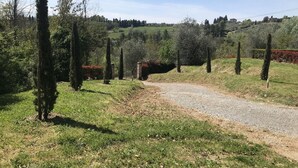 A rural landscape with a gravel path leading through a grassy area with trees and a distant view of a hill. - Apartment in Tuscany With Scenic Pool Views (Capannori)