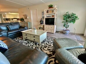 Living area - Saida IV Condos - S4904 (South Padre Island)