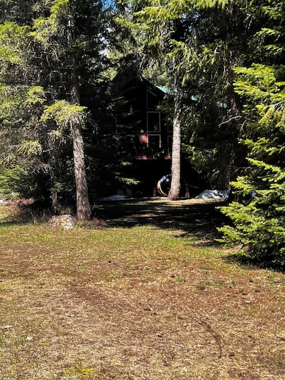 Peaceful forest cabin with Sauna, Hot tub near Hiking+ATV trails and Lakes