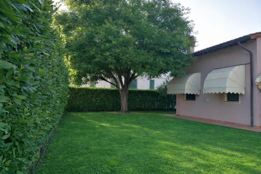 A well-maintained lawn, a tree, and a building with awnings.
