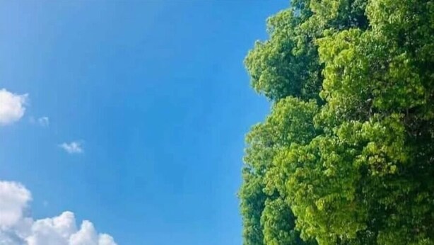 A beach with clear water, a sandy shore, and dense green foliage. - Cozy St. James Beach Villa – Steps from the Ocean. (Fitts Village)