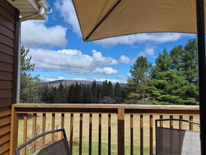 Eine Holzterrasse mit Blick auf einen Wald und Berge.