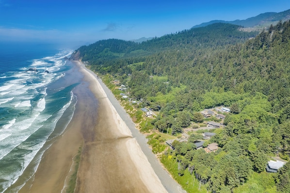 A coastal landscape with a beach, forested hills, and scattered houses.
