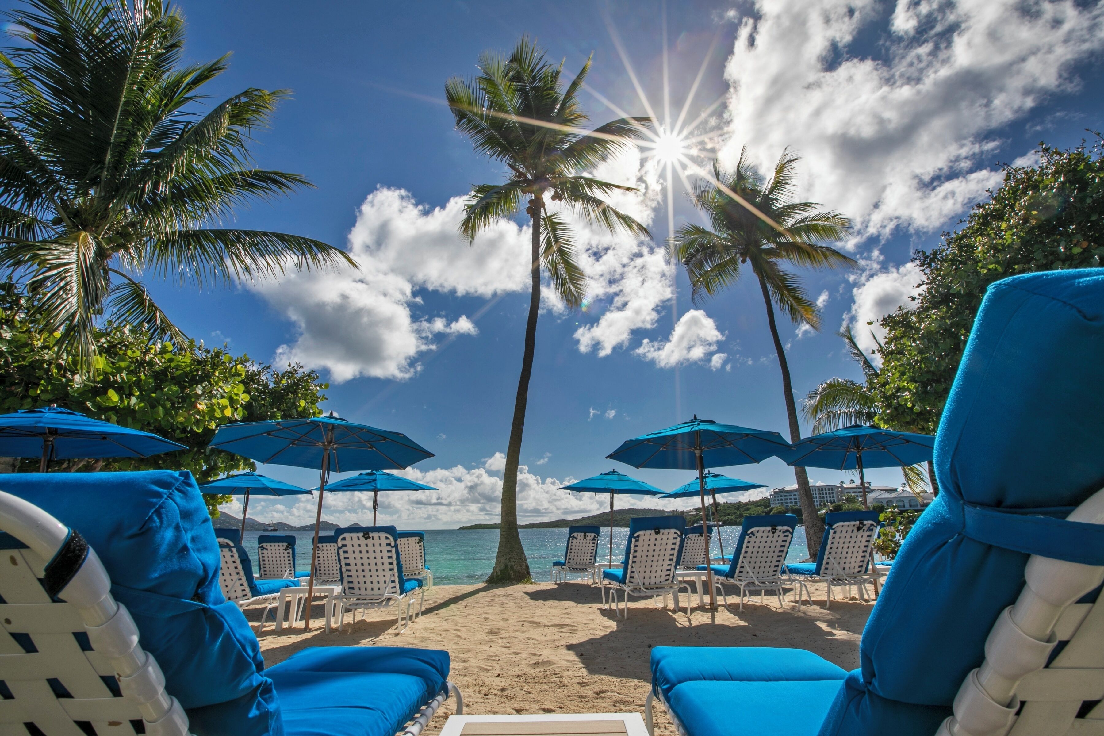 Ein Strand mit Liegestühlen und Sonnenschirmen, Palmen und blauem Himmel.
