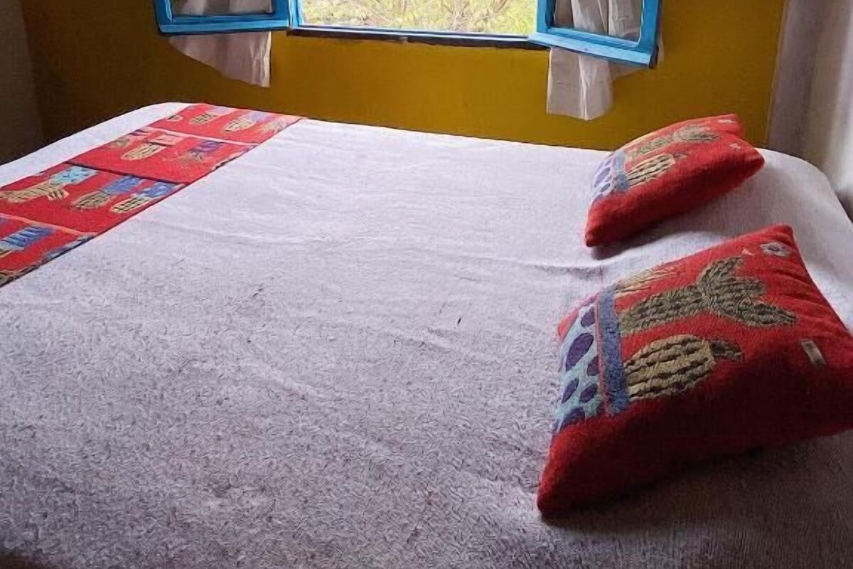 Una cama con vista a los árboles a través de una ventana de marco azul y cortinas blancas.