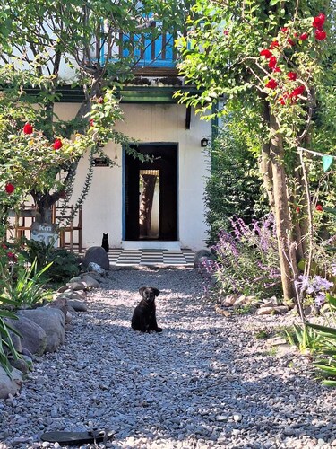 Casa Onda Verde Hostal