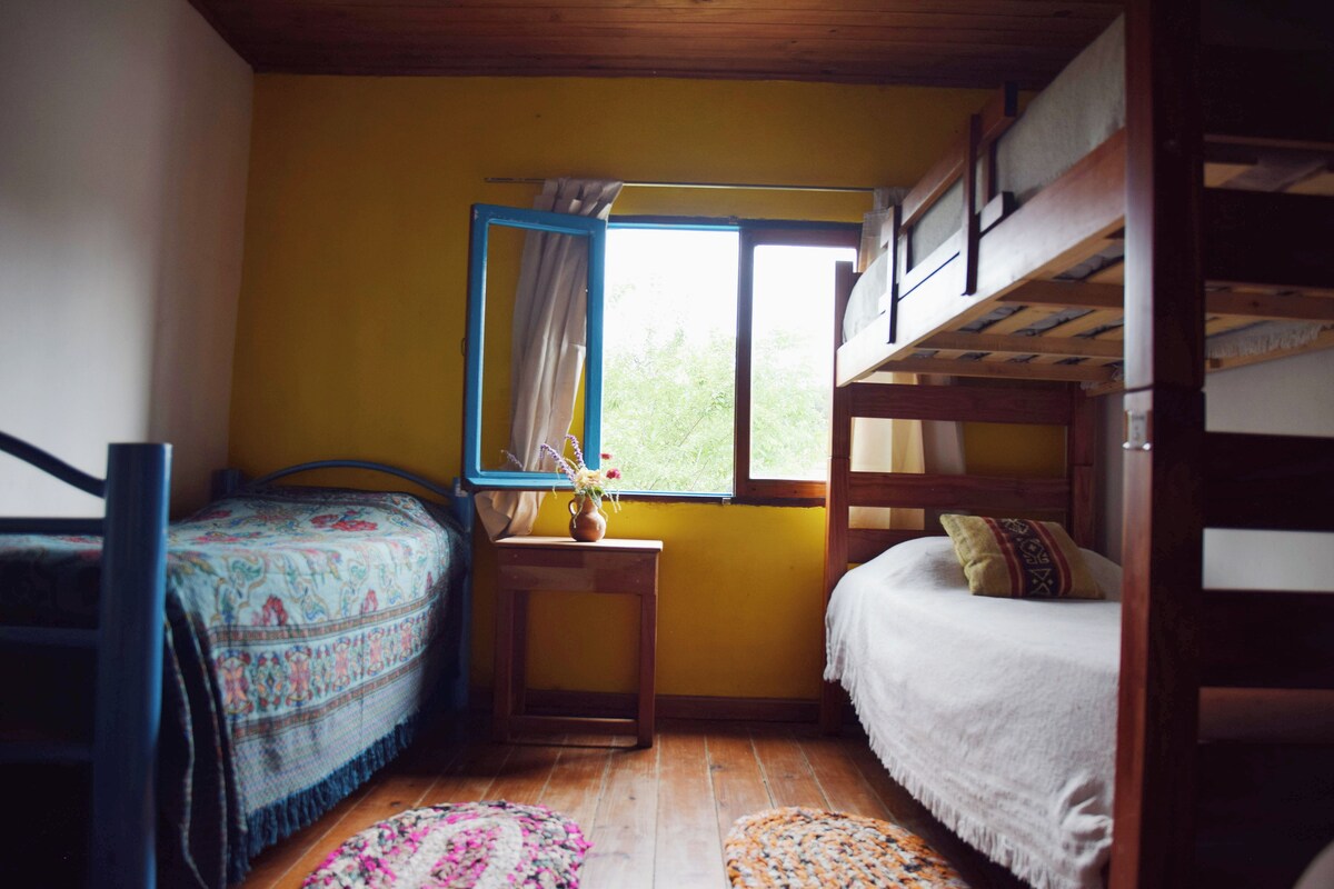 Dormitorio compartido estándar, patio, vista al patio | Wifi gratis 