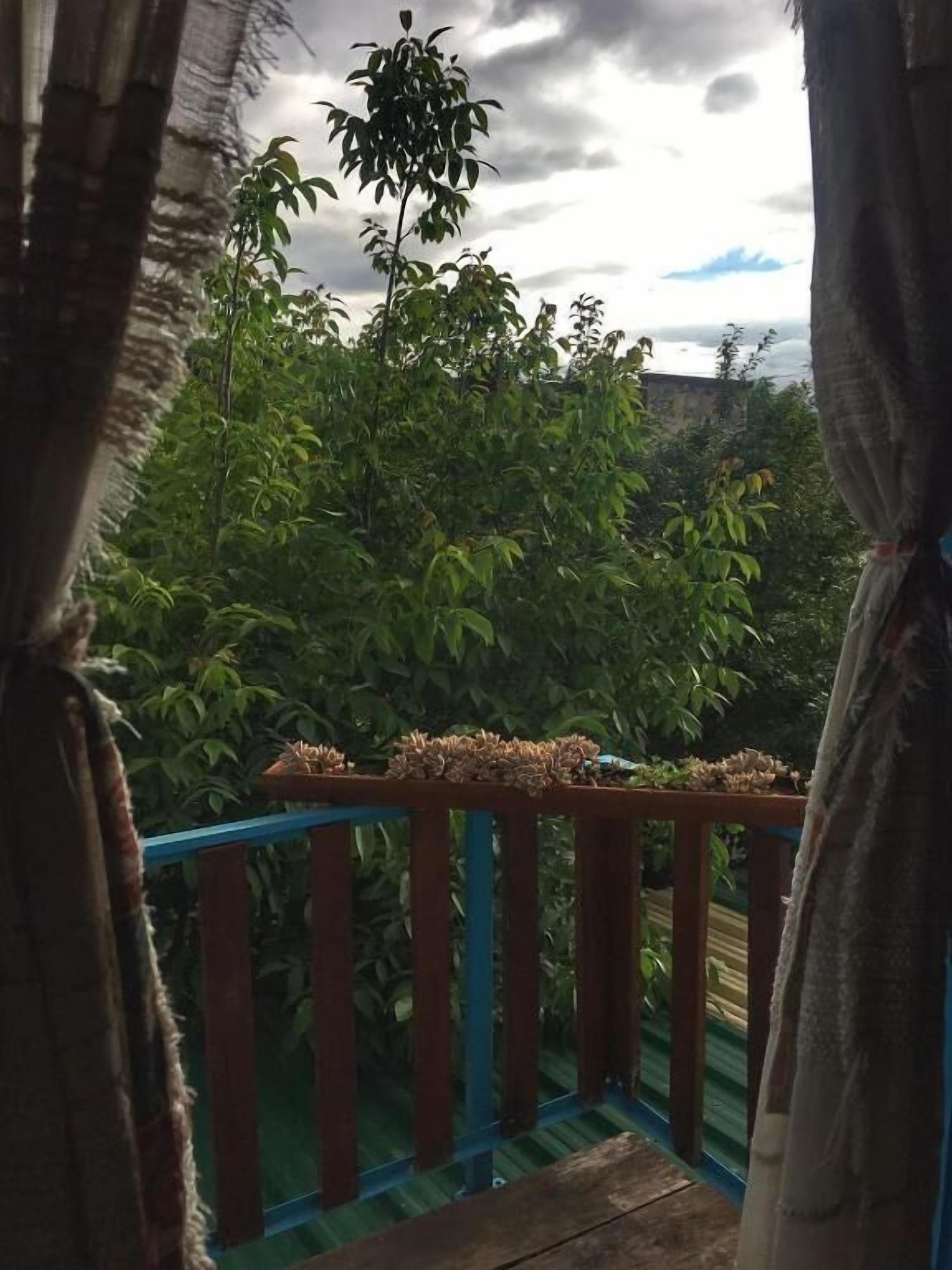 A balcony with a wooden railing, a potted plant, and a view of dense foliage and a cloudy sky.