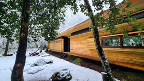Een houten hut met grote ramen, omringd door bomen en sneeuw.