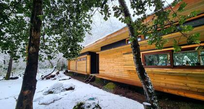 Casa Mallín Alto Biobío: nature, mountain, rest in the forest and pet friendly.