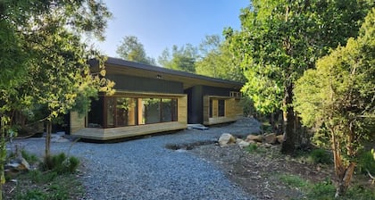 Casa Mallín Alto Biobío: nature, mountain, rest in the forest and pet friendly.