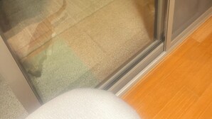 A room with a glass partition, a wooden floor, and a chair.