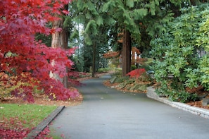 A paved pathway flanked by trees and shrubs, leading to a building.