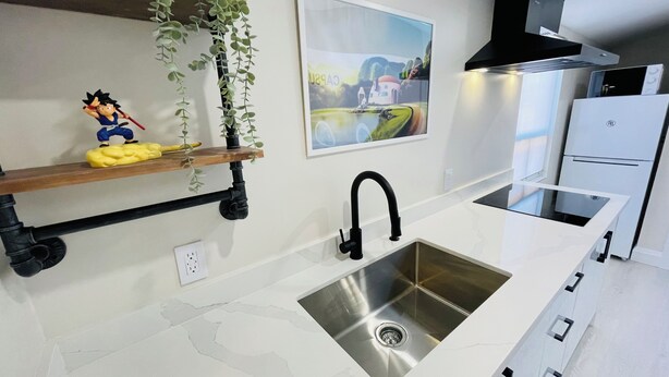 A modern kitchen with a stainless steel sink, white countertops, a black faucet, a small shelf with a figurine, a potted plant, and a framed landscape painting.