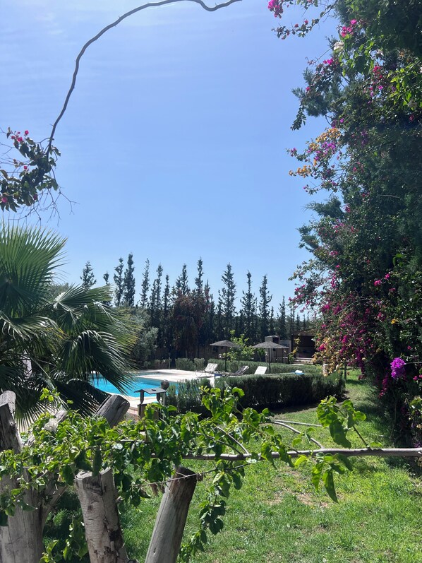 A pool area with lounge chairs, a wooden fence, and a variety of trees and shrubs.