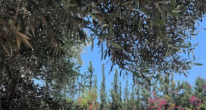 Large Villa with Private Pool near Essaouira