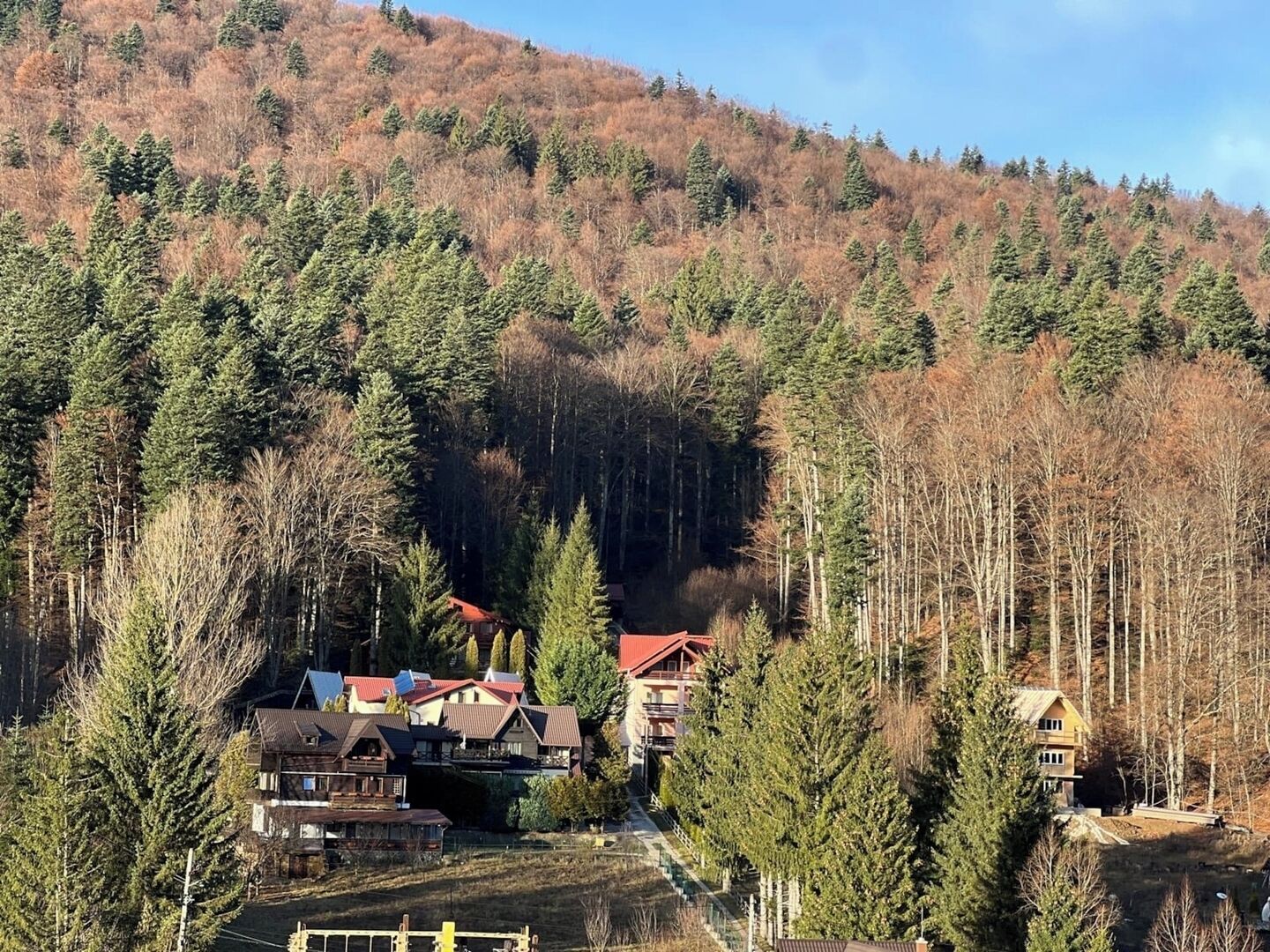 A mountainous area with a row of houses, some with red roofs, surrounded by dense forest.
