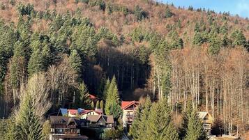 A mountainous area with a row of houses, some with red roofs, surrounded by dense forest.