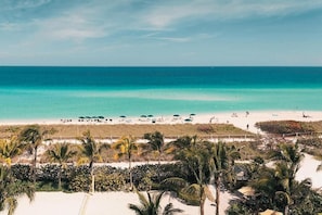 A beach with palm trees, a sandy shore, and a clear blue ocean. - Miami Beach 2BR | Beachfront Pool Retreat (Surfside)