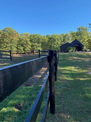 Property grounds - Modern Minimalist Retreat on 16 Acres (Kerhonkson)