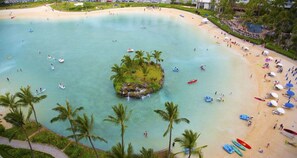 Beach nearby - One bedroom  in United States of America, Honolulu (Honolulu)