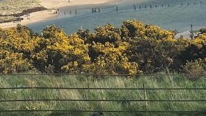 Un paisaje costero con playa, dunas cubiertas de hierba y una valla en primer plano.