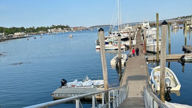 A dock leading to a marina with boats and a clear sky.
