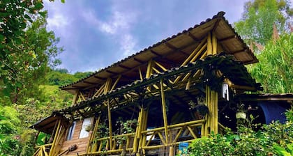 The House of Chocolate