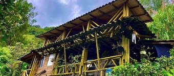The House of Chocolate