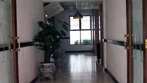 A hallway with a potted plant, a patterned table, and a large window. - hotel avenida  (Zacatlán)