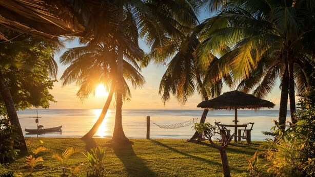 A beach scene with palm trees, a hammock, a thatched umbrella, and a boat in the background.
