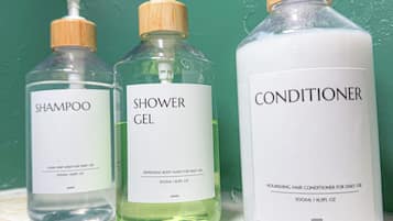 Douche, sèche-cheveux, serviettes fournies, savon