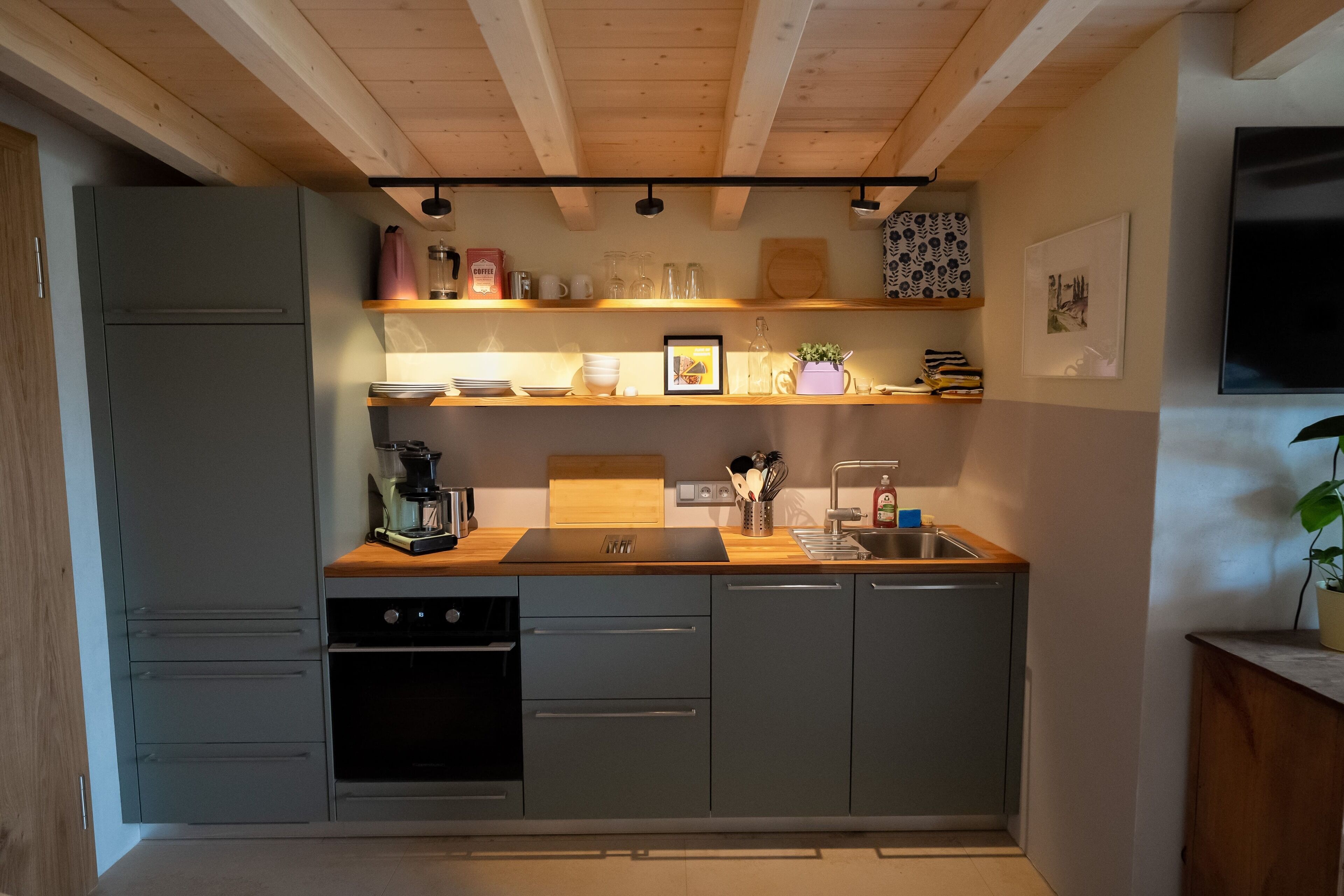 Fridge, oven, stovetop, dishwasher