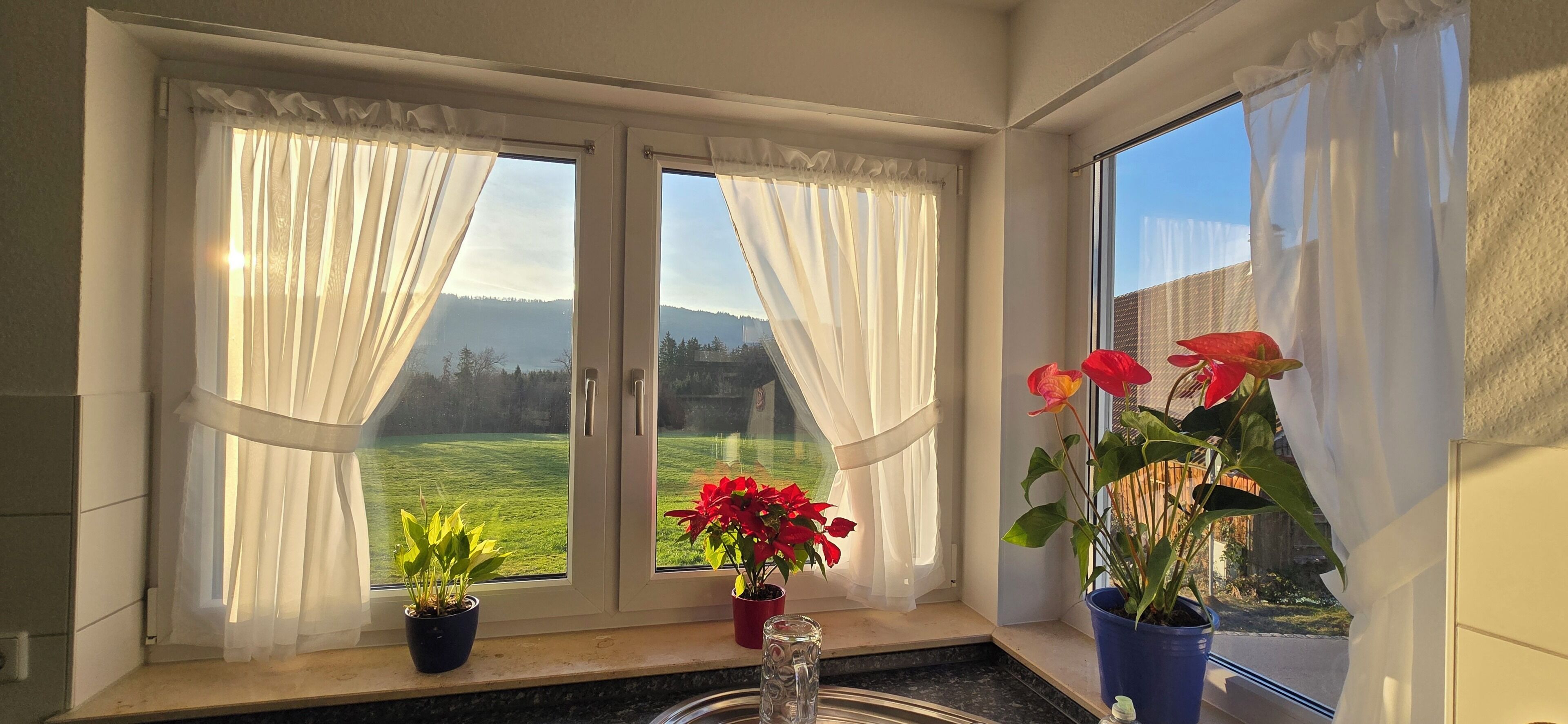 Een kamer met een raam dat uitkijkt op een groen landschap, twee potplanten op de vensterbank en een helder uitzicht.