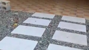 Una zona esterna pavimentata con un motivo a scacchiera di piastrelle bianche e ghiaia.