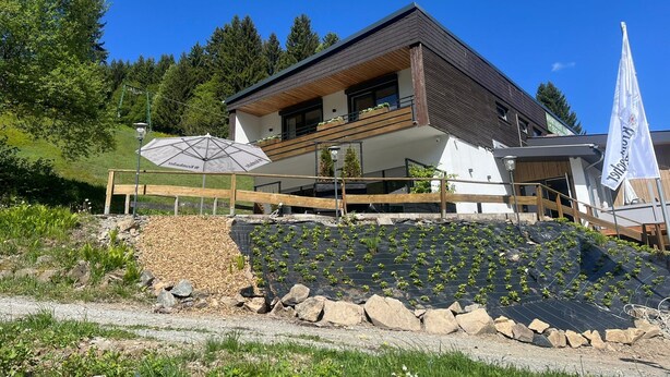 A modern two-story house with a balcony, a flag, and a garden area with plants. - Ferienwohnungen mit Skilift Direkt am Haus (Winterberg)