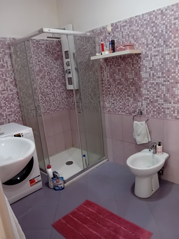 Shower, hair dryer, bidet, towels