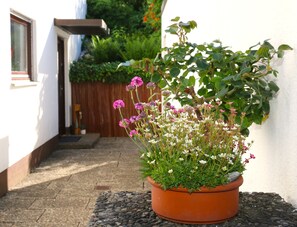 Uma planta em vaso com flores em frente a uma parede branca.