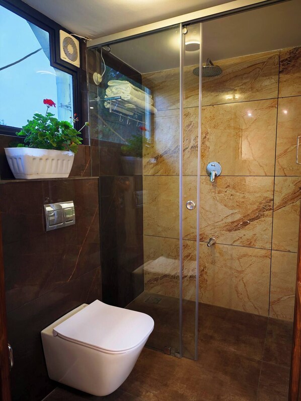 A modern bathroom with a glass shower enclosure, a white toilet, and a potted plant.