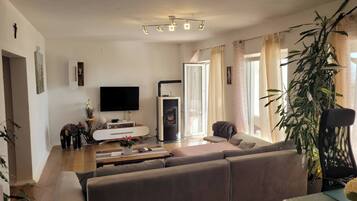 TV, fireplace, books, stereo