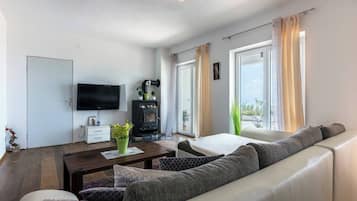 TV, fireplace, books, stereo