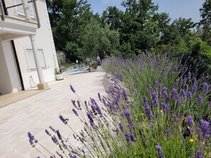 Terrain de lâhĂ©bergement
