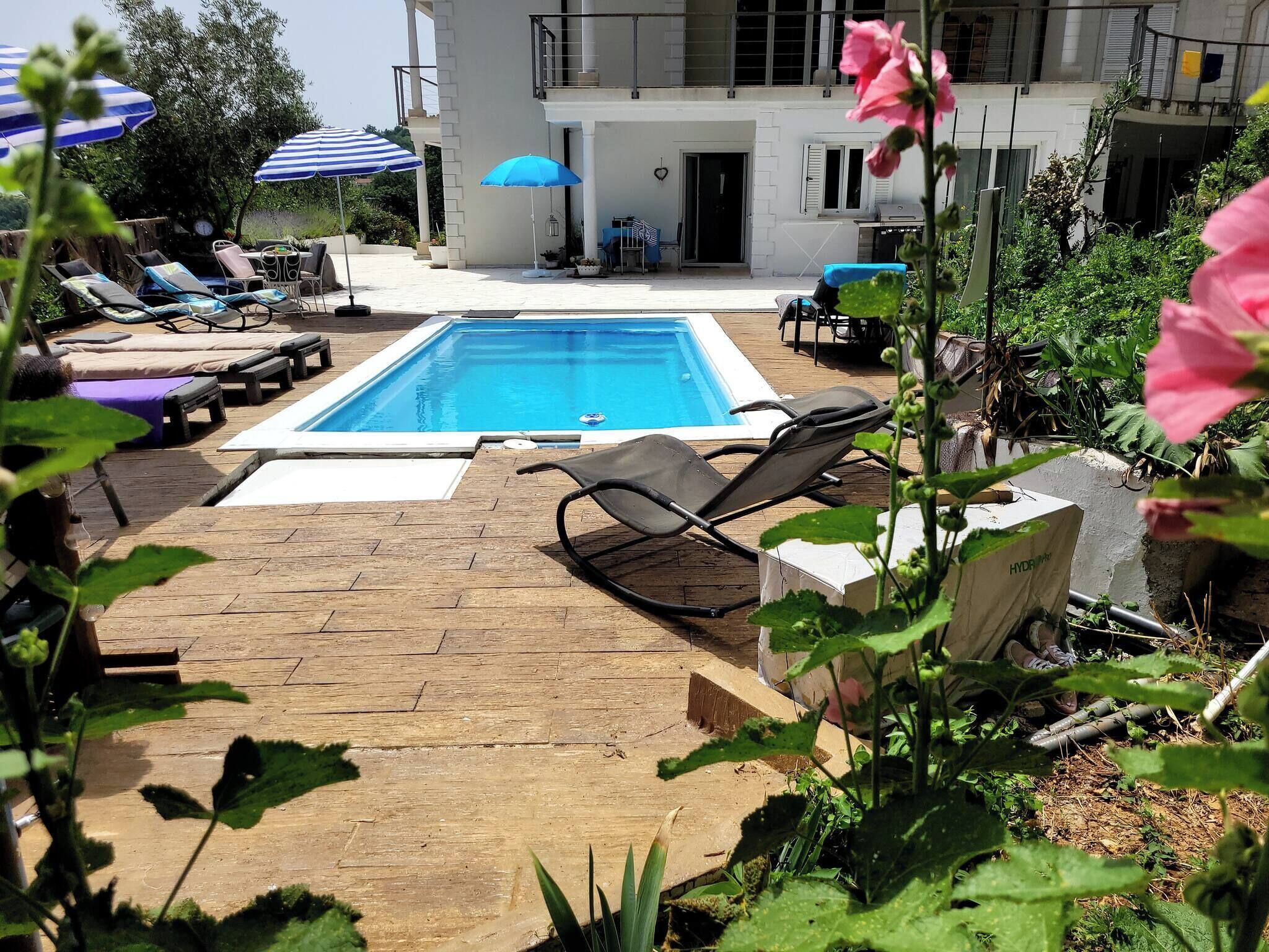 Una piscina amb gandules i ombrel·les, envoltada de vegetació i un edifici.