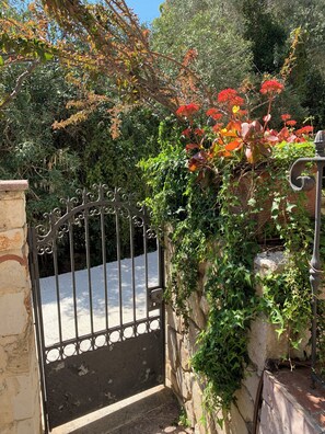 Property grounds - (Lixouri)